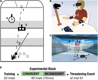 Challenging the Boundaries of the Physical Self: Distal Cues Impact Body Ownership